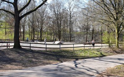 Skateplatz Windheimstr.