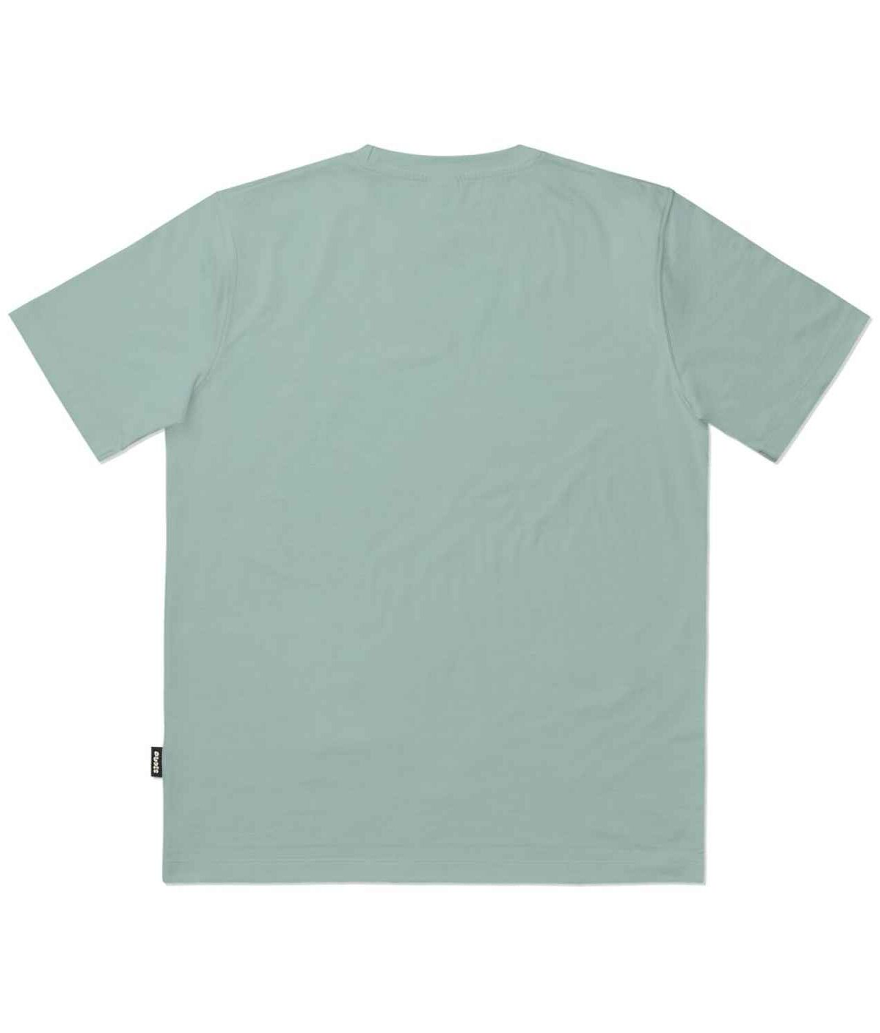 10073703-2 The Dudes Bear Foot Classic T-Shirt Standard - aloe M