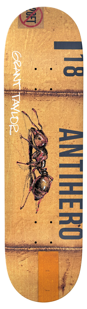 Anti Hero Skateboard Deck Taylor Intermodal 8,32 Anti Hero Skateboard Deck Taylor Intermodal 8,32