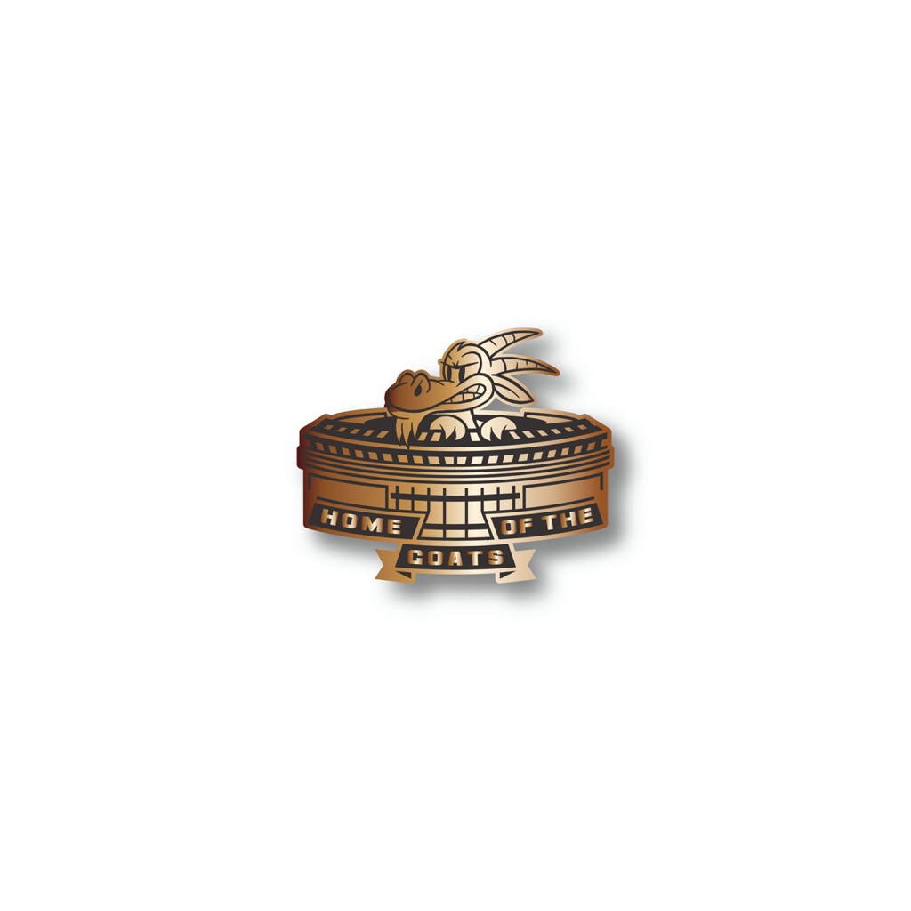 HUF Stadium Pin Set - multi
